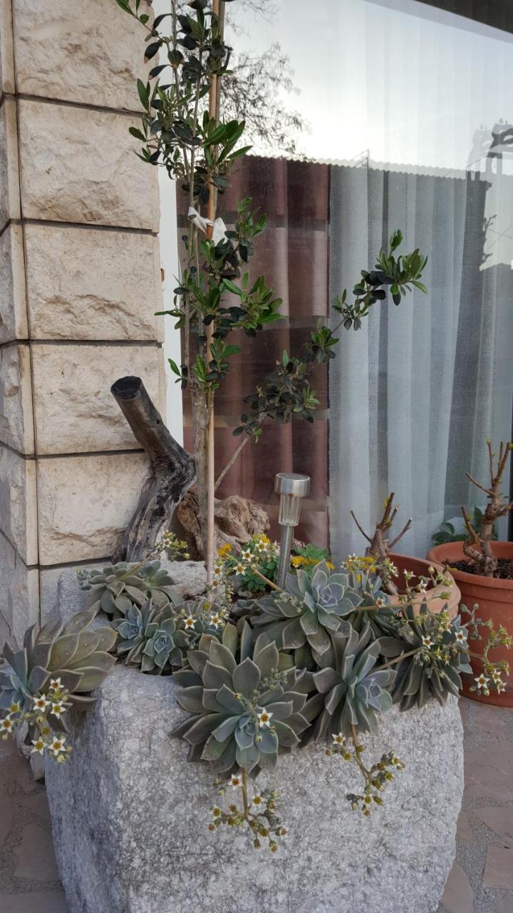 Apartmani Antunovic Podgora Kültér fotó